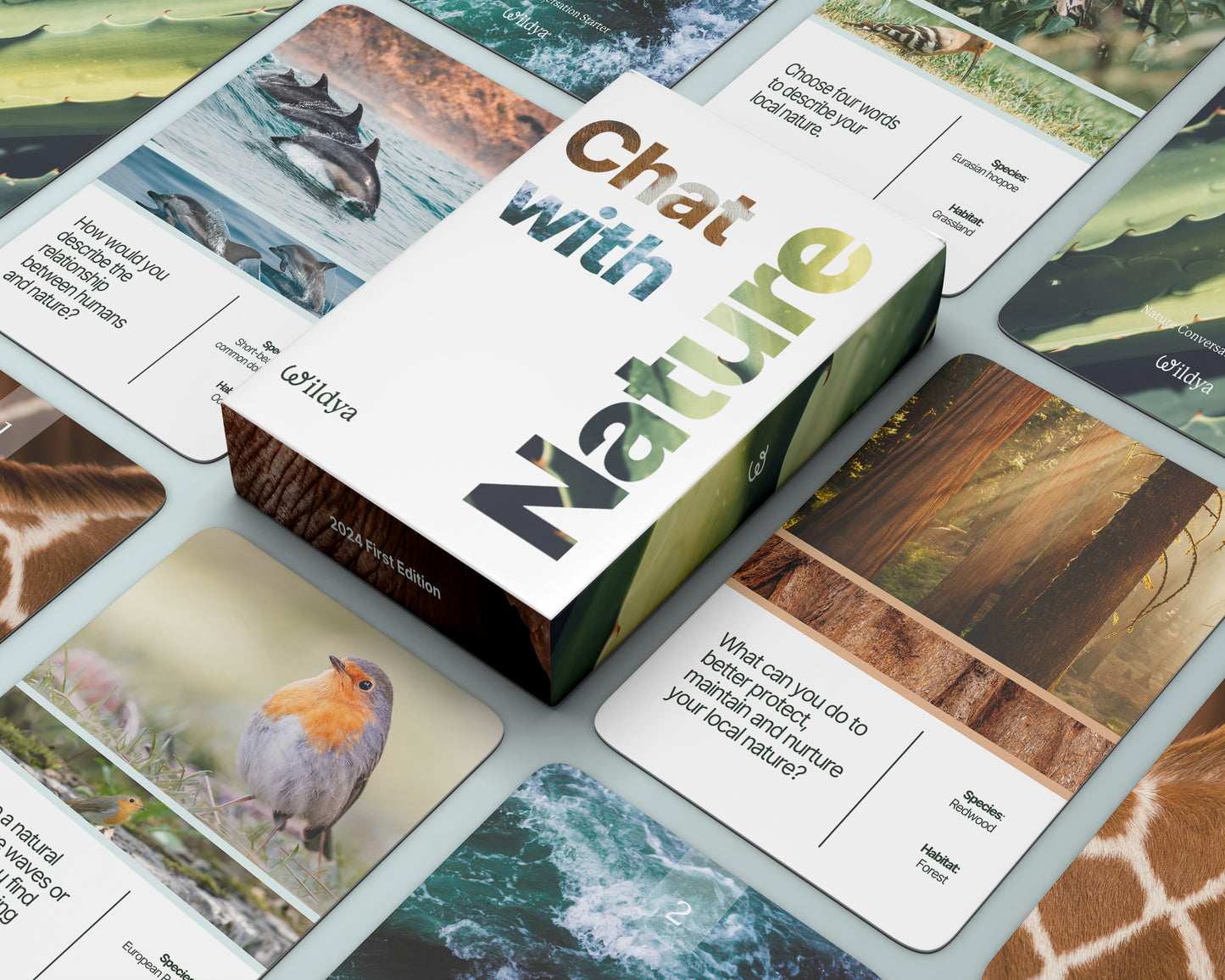 Chat with Nature: Nature Conversation Starter Cards