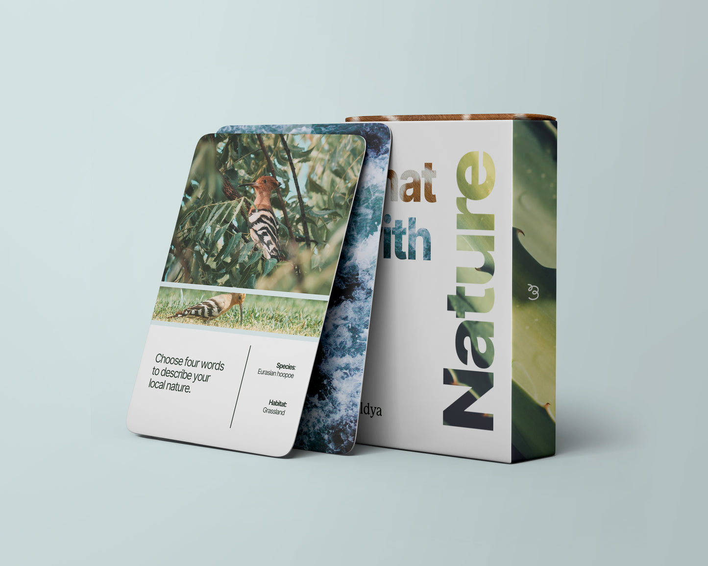 Chat with Nature: Nature Conversation Starter Cards